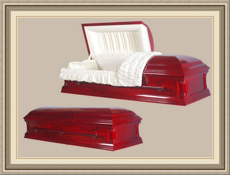 dale earnhardt casket